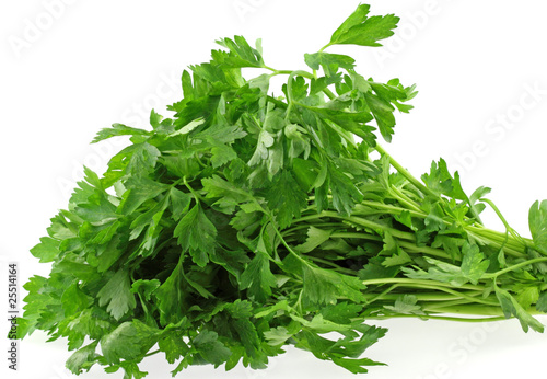 bouquet de persil, fond blanc bouquet de persil, fond blanc