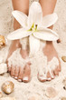 weisse blüte zwischen zarten füßen einer Frau im Sand weisse blüte zwischen zarten füßen einer Frau im Sand