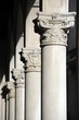 padova 831
