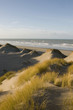 Réserve naturelle de la baie de Somme - Dunes et lande dunaire p