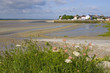 L'entrée du port - Le Crotoy (Baie de Somme) L'entrée du port - Le Crotoy (Baie de Somme)