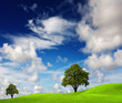 Green nature Green nature