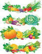 banners with vegetables banners with vegetables