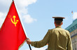 Mann mit Flagge - Man with Flag