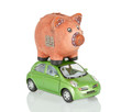 Pig & Car