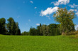 Landschaft mit Wiese und Wald