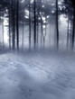 Dark Forest