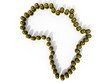 cartouches_afrique