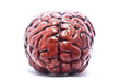 Bloody Brain on White
