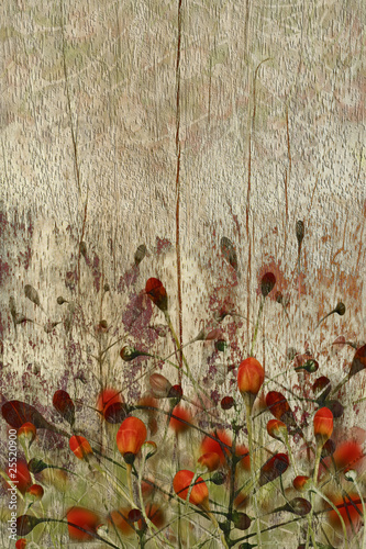 Photo: Red flowers on grunge wood background Red flowers on grunge wood background