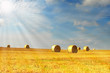 Sonnenstrahlen fallen auf Feld mit Strohrollen