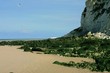 falaise