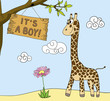 boy arrival