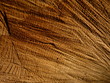 Holzmaserung
