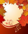 autumn floral background autumn floral background
