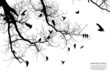 tree and bird