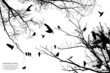 tree and bird
