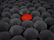 Many umbrellas