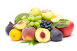 fresh fruits fresh fruits