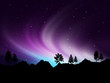 Northern lights