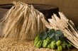 hopfen mit getreide