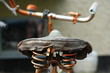Altes Fahrrad
