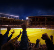 Football Excitement Football Excitement