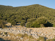 Gargano, Foresta Umbra