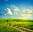 Summer landscape with green grass, road and clouds