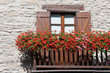 balcony with flowers - balcone fiorito