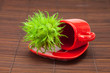 hazelnuts in a bowl on a bamboo mat hazelnuts in a bowl on a bamboo mat