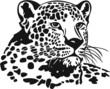 Leopard Vinyl Ready Vector Illustration Leopard Vinyl Ready Vector Illustration