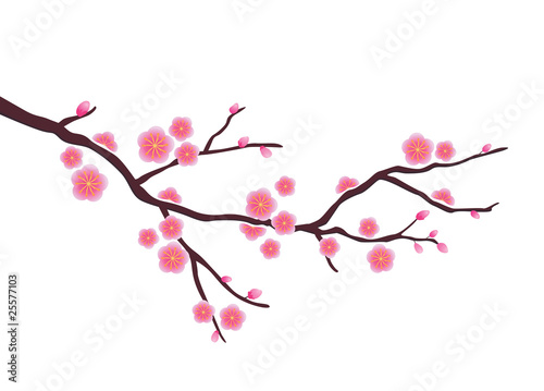 Cherry Blossom In Vector Format