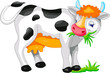 cute cow