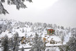 Winter Landscapes