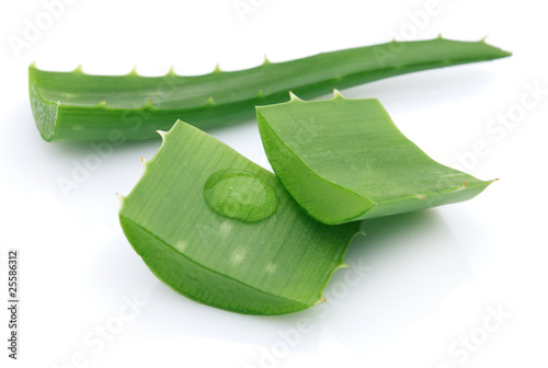Photo: Aloe Aloe