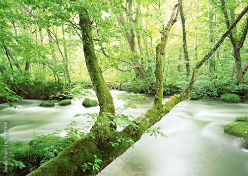 Photo: Wildnis Wildnis