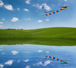 Kite reflection