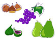 Frutti d'autunno:castagne fichi uva e pere Frutti d'autunno:castagne fichi uva e pere
