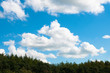 Photo: forrest and blue sky forrest and blue sky