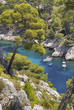 Calanque de Port Pin , Cassis, Bouches du Rhoné, Frankreich