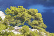 Calanque de Port Pin , Cassis, Bouches du Rhoné, Frankreich