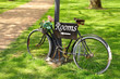 summer bike on the grass