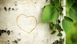 Heart curved on a birch Heart curved on a birch