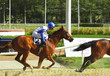 Moscow, Russia - September 5. The last race for the prize "Wint Moscow, Russia - September 5. The last race for the prize "Wint