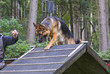 Agility
