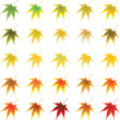 Vector autumn leaves Vector autumn leaves