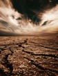 Desert background