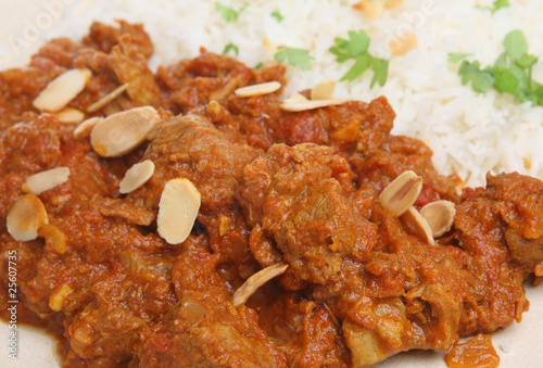 Lamb Rogan Josh Indian Curry Lamb Rogan Josh Indian Curry