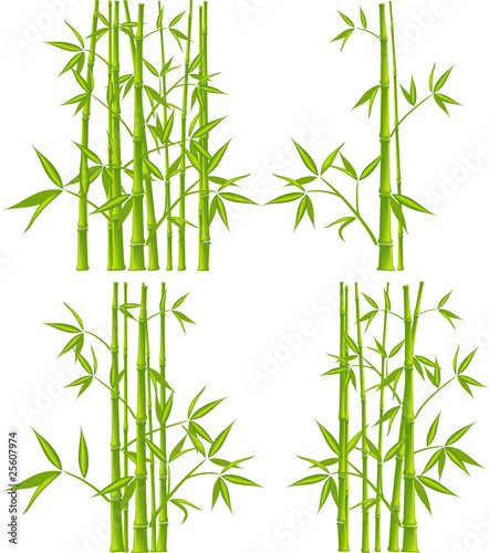 Vektor: Bamboo, vector (mesh) Bamboo, vector (mesh)